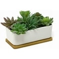 thumbnail image 1 of Rectangular Long White Ceramic Succulent Planter Pot with Drainage Hole and Bamboo Saucer, 1 of 4