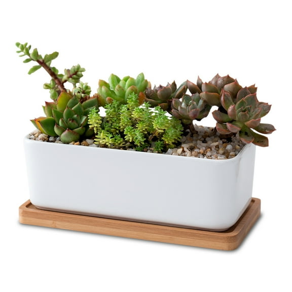 SEWCHICS White Ceramic Planter Oblong with Tray, Modern Indoor Plant Pot, 1 Set
