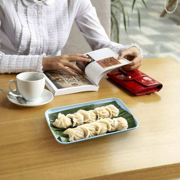 Rectangular Serving Plates, 24.5x14.5x2.5cm Plastic Snack Trays for Hot Pot, BBQ, Sausage & Fruit, Large Capacity Dish with Square Design, Easy to Clean & Durable