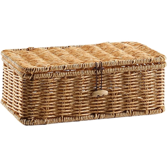 Rectangular Storage Basket with Lid, Decorative Organizer, PP and Iron Wire Storage Box for Kitchen and Office