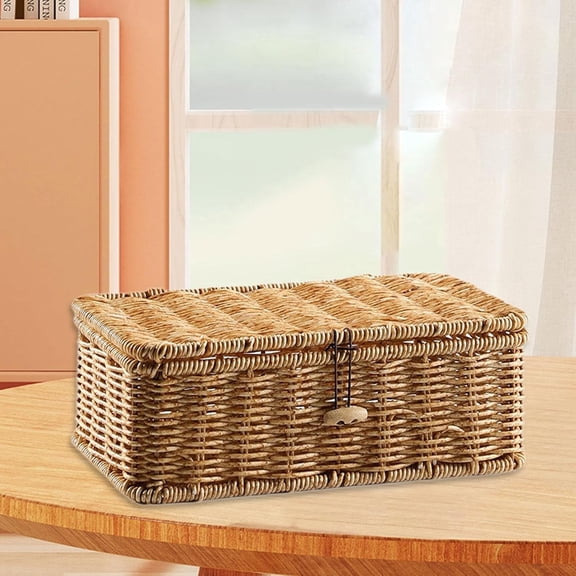 Rectangular Storage Basket with Lid, Decorative PP Iron Wire Organizer Basket, Versatile for Kitchen and Office （Large size）