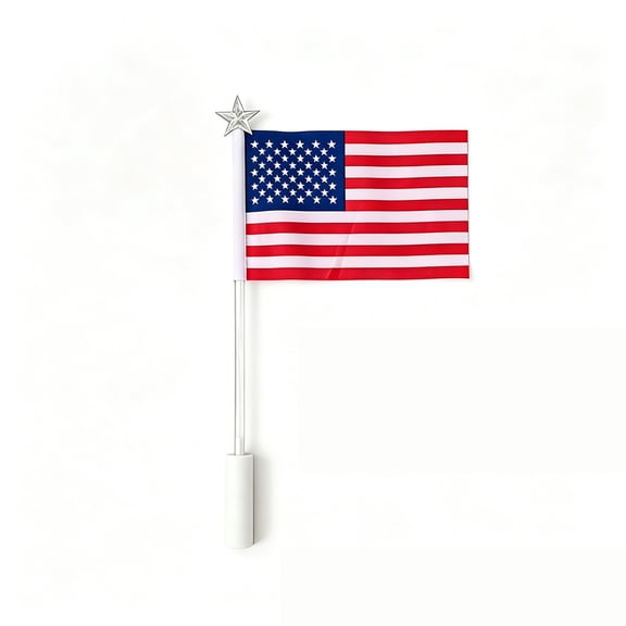 Rectangular, Waving Celebration - Handheld Flag, Glowing Bright Independence Day Handheld Flag for Outdoor Festival Crowds (15.7 Inch)