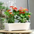 thumbnail image 1 of Rectangular Window Box Planter with Drainage Holes and Removable Tray Plastic Flower Pot for Indoor Outdoor Garden Balcony Vegetable Growing 16.9 x 7.5 x 5.5 Inch, 1 of 4