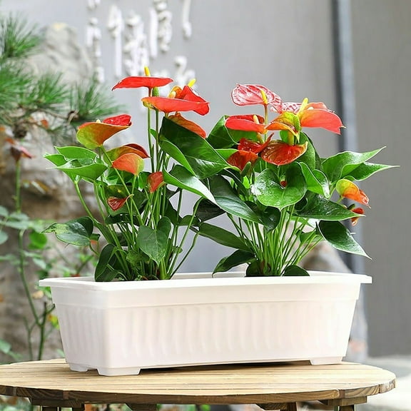 Rectangular Window Sill Planter with Attached Tray for Indoor and Outdoor Gardening Flowers Vegetables