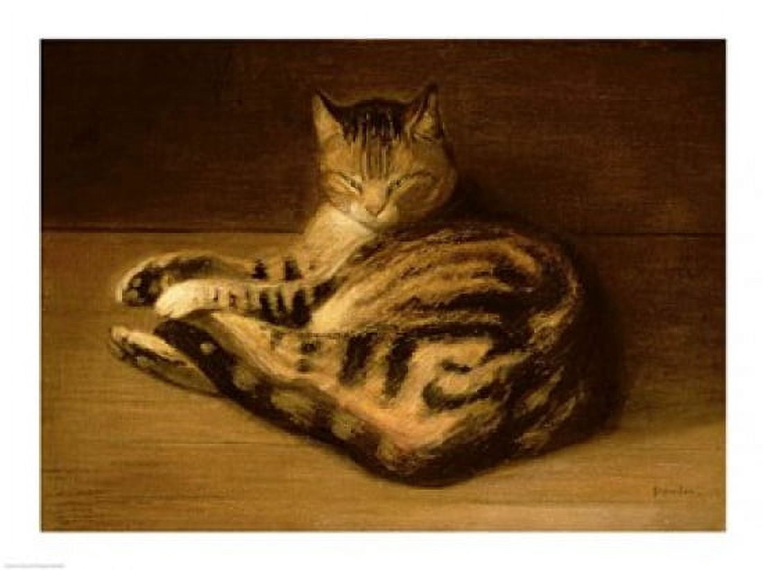 Recumbent Cat 1898 Canvas Art - Theophile-Alexandre Steinlen (24 x 18)