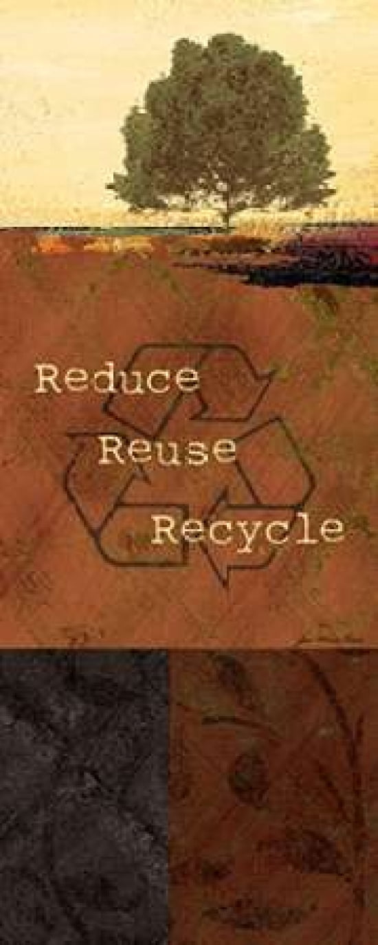 Recycle Canvas Art - Jo Moulton (10 x 20)