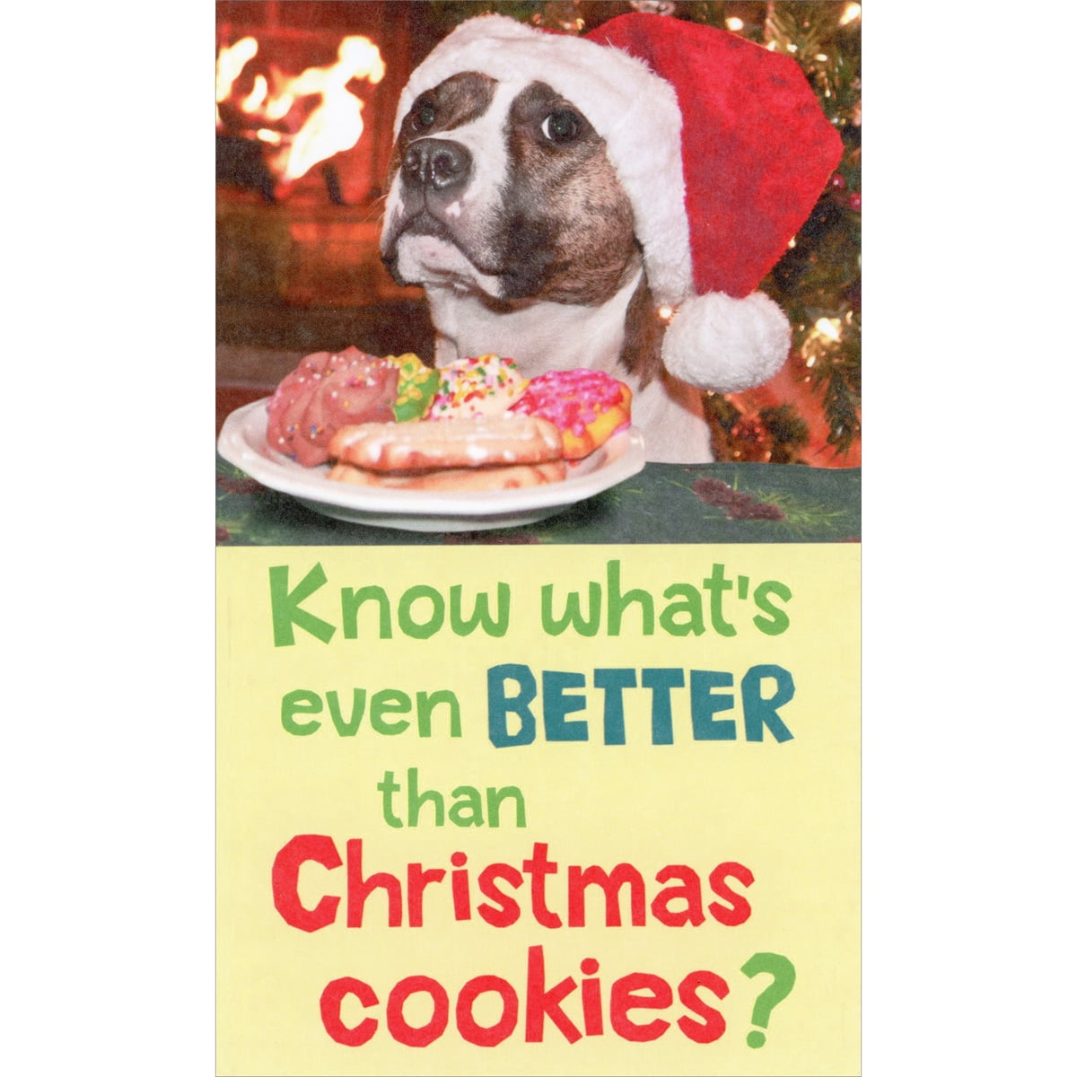 Recycled Paper Greetings Better Than Christmas Cookies Dog Funny / Humorous  Money Holder Christmas Card - Walmart.com, image size:1200x1200