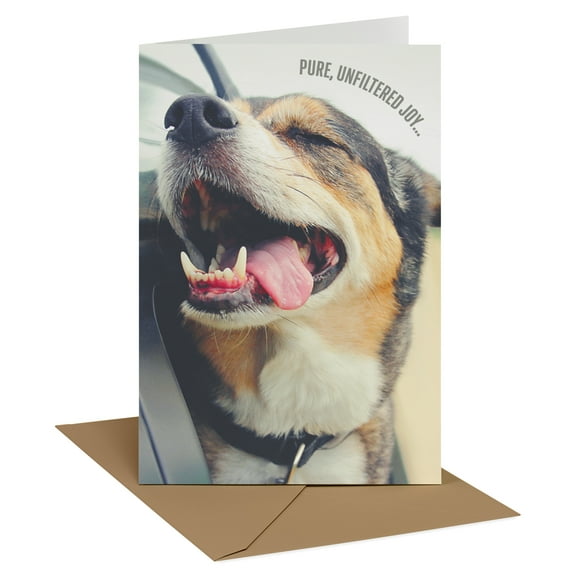 Recycled Paper Greetings Birthday Card (Unfiltered Joy)