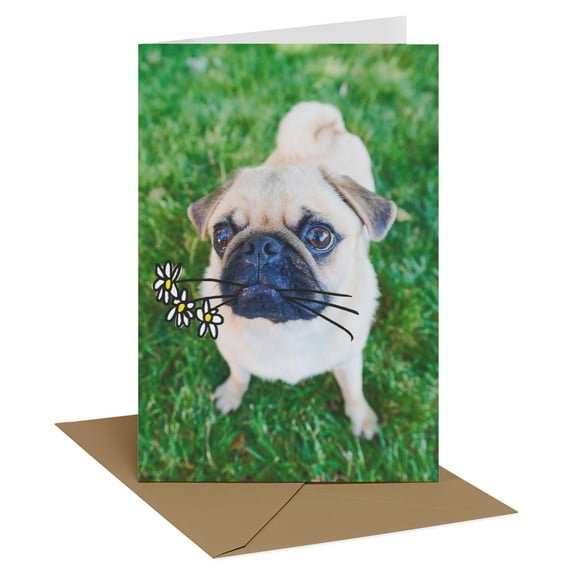 Recycled Paper Greetings Blank Thinking of You Card (Daisies Delight)