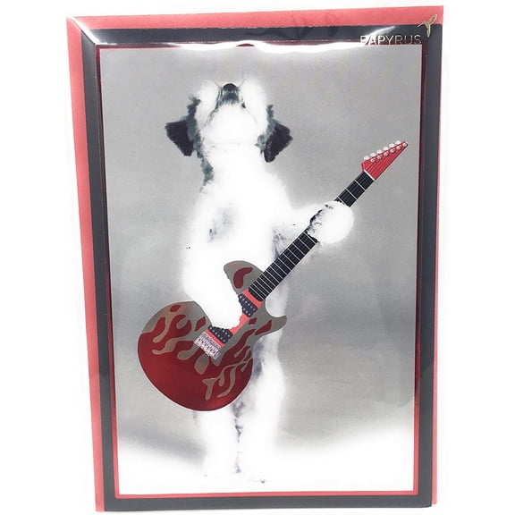 Recycled Paper Greetings, Card Everyday, 1 Count