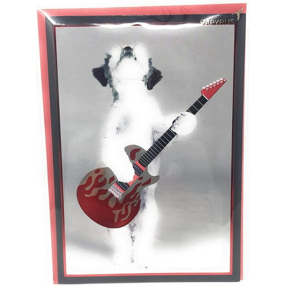 Recycled Paper Greetings, Card Everyday, 1 Count