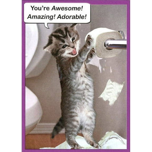 Recycled Paper Greetings Cat Playing With Toilet Paper Funny Kitten Valentine's Day Card