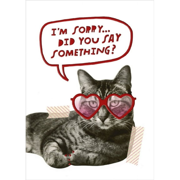 Recycled Paper Greetings Cat with Heart Shaped Glasses Funny / Humorous Valentine's Day Card