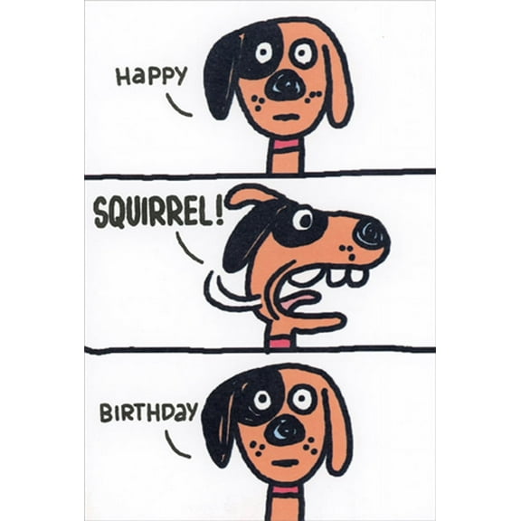 Recycled Paper Greetings Dog Distracted by Squirrel Funny / Humorous Birthday Card