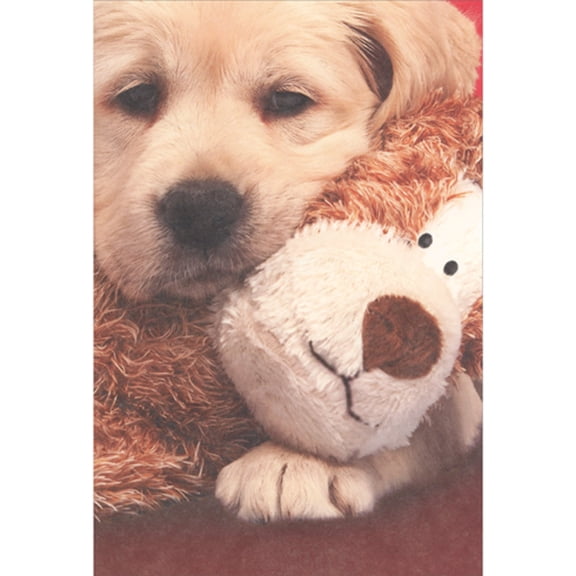 Recycled Paper Greetings Dog Hugging Stuffed Animal Cute Valentine's Day Card