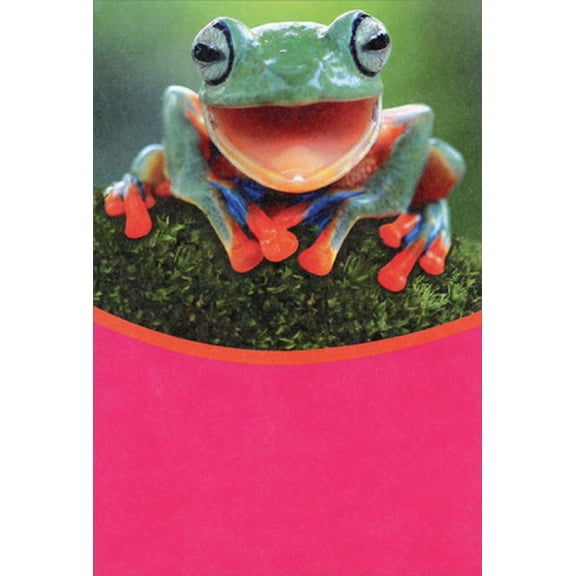 Recycled Paper Greetings Frog Happy Face Funny / Cute Valentine's Day Card