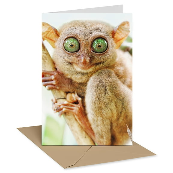 Recycled Paper Greetings Funny Birthday Card (Bat Eyes)