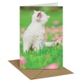 thumbnail image 1 of Recycled Paper Greetings Funny Birthday Card Featuring White Cat (Meow-tastic Celebration), 1 of 3