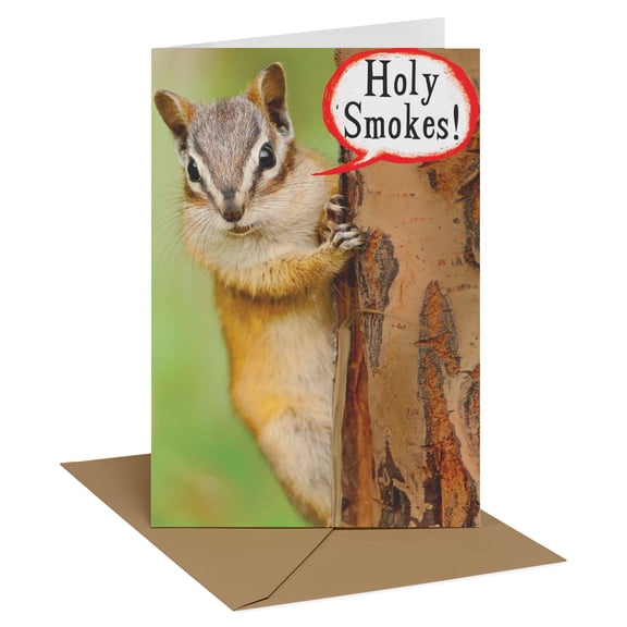 Recycled Paper Greetings Funny Birthday Card (Holy Smokes Chipmunk)