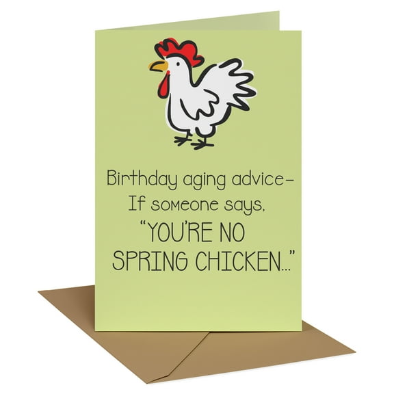 Recycled Paper Greetings Funny Birthday Card (No Spring Chicken)