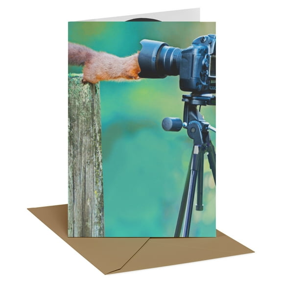 Recycled Paper Greetings Funny Birthday Card (Squirrel Photographer)