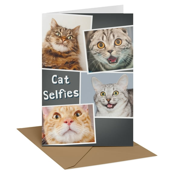 Recycled Paper Greetings Funny Birthday Card for Anyone (Cat Selfies)