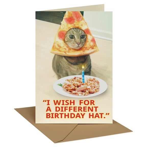 Recycled Paper Greetings Funny Birthday Card for Cat Lovers (Wishes Come True)