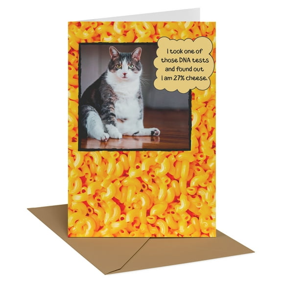 Recycled Paper Greetings Funny Birthday Card for Cheese Lovers (Cat 27 Percent Cheese)