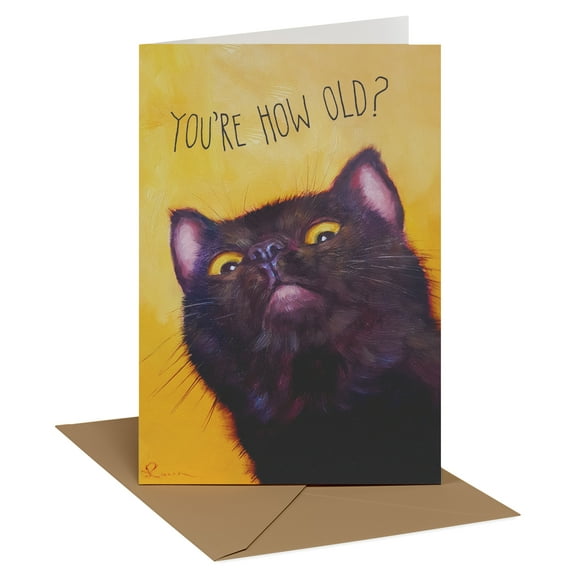 Recycled Paper Greetings Funny Birthday Card with Black Cat (You're How Old?)