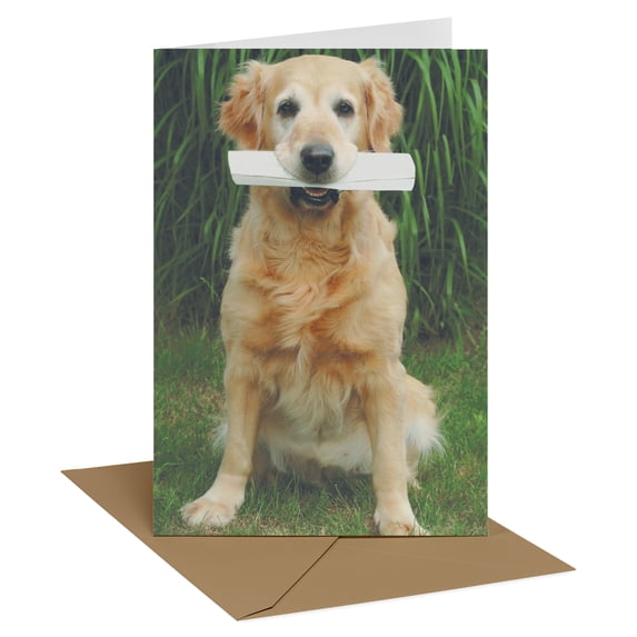 Recycled Paper Greetings Funny Birthday Card with Dog (Birth Certificate)