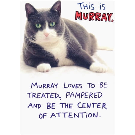 Recycled Paper Greetings Murray Funny / Humorous Cat Birthday Card