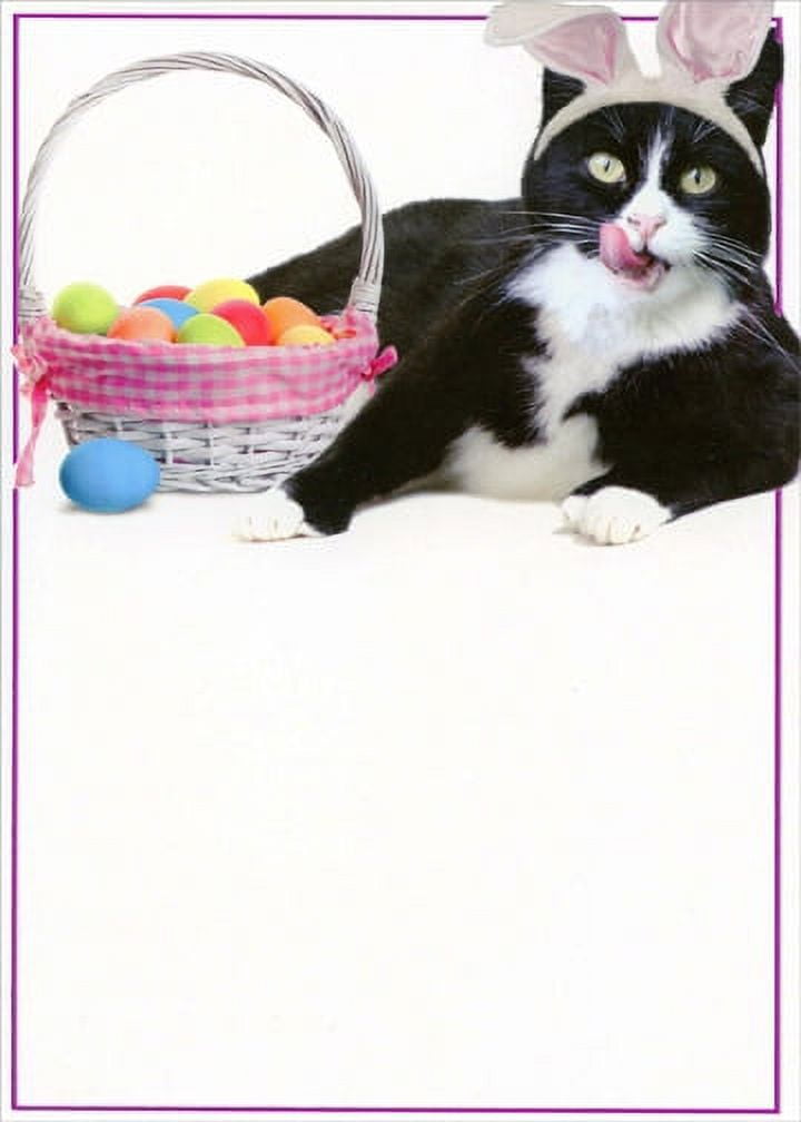 Recycled Paper Greetings No Easter Bunny Funny Cat Easter Card