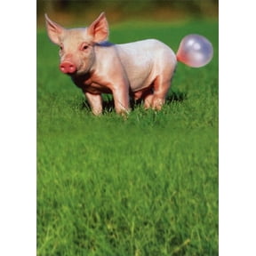 Recycled Paper Greetings Pig Blowing Bubble Funny Birthday Card