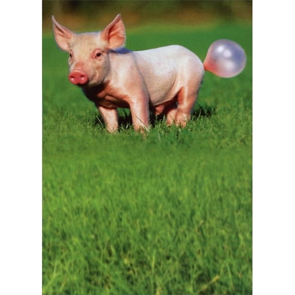 Recycled Paper Greetings Pig Blowing Bubble Funny Birthday Card