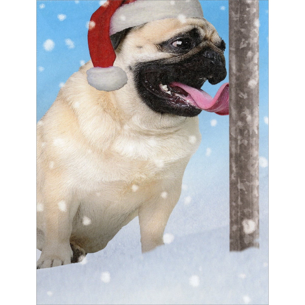 Recycled Paper Greetings Pug Tongue Stuck to Pole Package of 8 Funny / Humorous Dog Christmas Cards