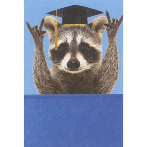 Recycled Paper Greetings Raccoon in Grad Cap Showing Right On, Hang Loose Sign Humorous / Funny Graduation Congratulations Card