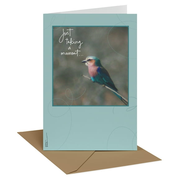 Recycled Paper Greetings Thinking of You Card for Friend (Taking a Moment Bird)