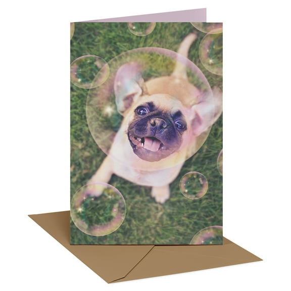 Recycled Paper Greetings Thinking of You Card with French Bulldog (Bubbles of Joy)