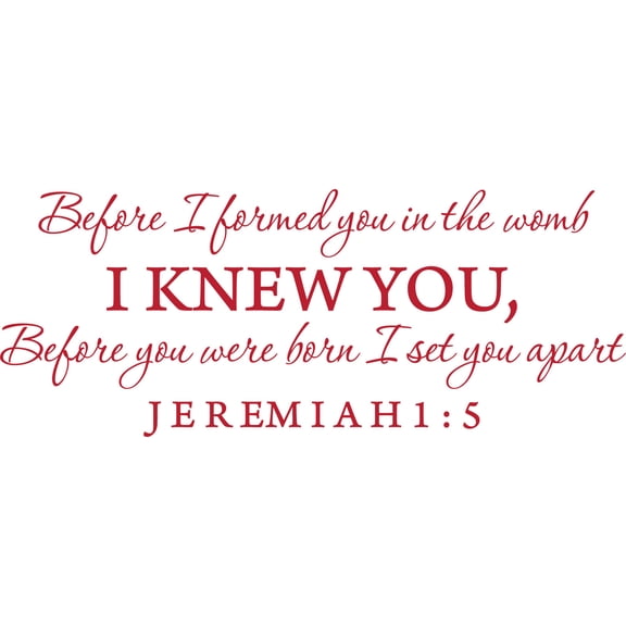 Red 22" x9" Decaltor Before I formed you in the womb Jeremiah 1:5 Vinyl wall art family mother newborn bible prayer Inspirational quotes and saying home décor