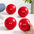 Weighted Basbealls Red 4-Pack 2 Lbs & 3 Lbs Weighted Sand Balls for Full-Body Fitness ...
