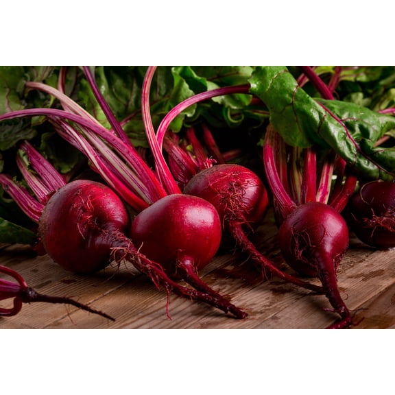 Red Ace Improved Beet Pickling Pickled Heirloom Premium Seeds Packet