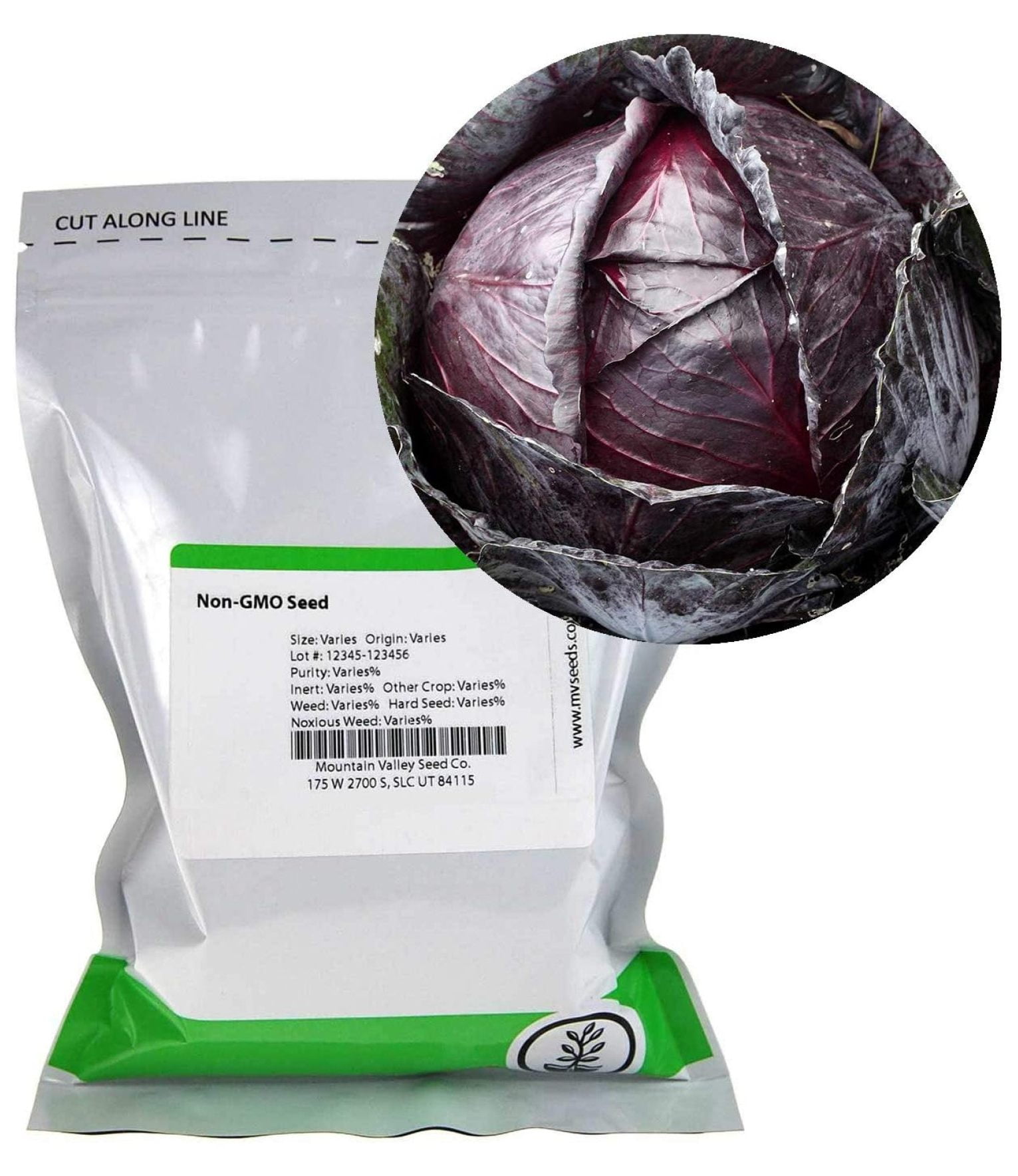 Red Acre Cabbage Seeds 5 Lb Bulk, NonGMO, Chemical Sprouting Seeds
