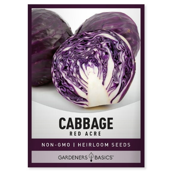 Red Acre Cabbage Seeds
