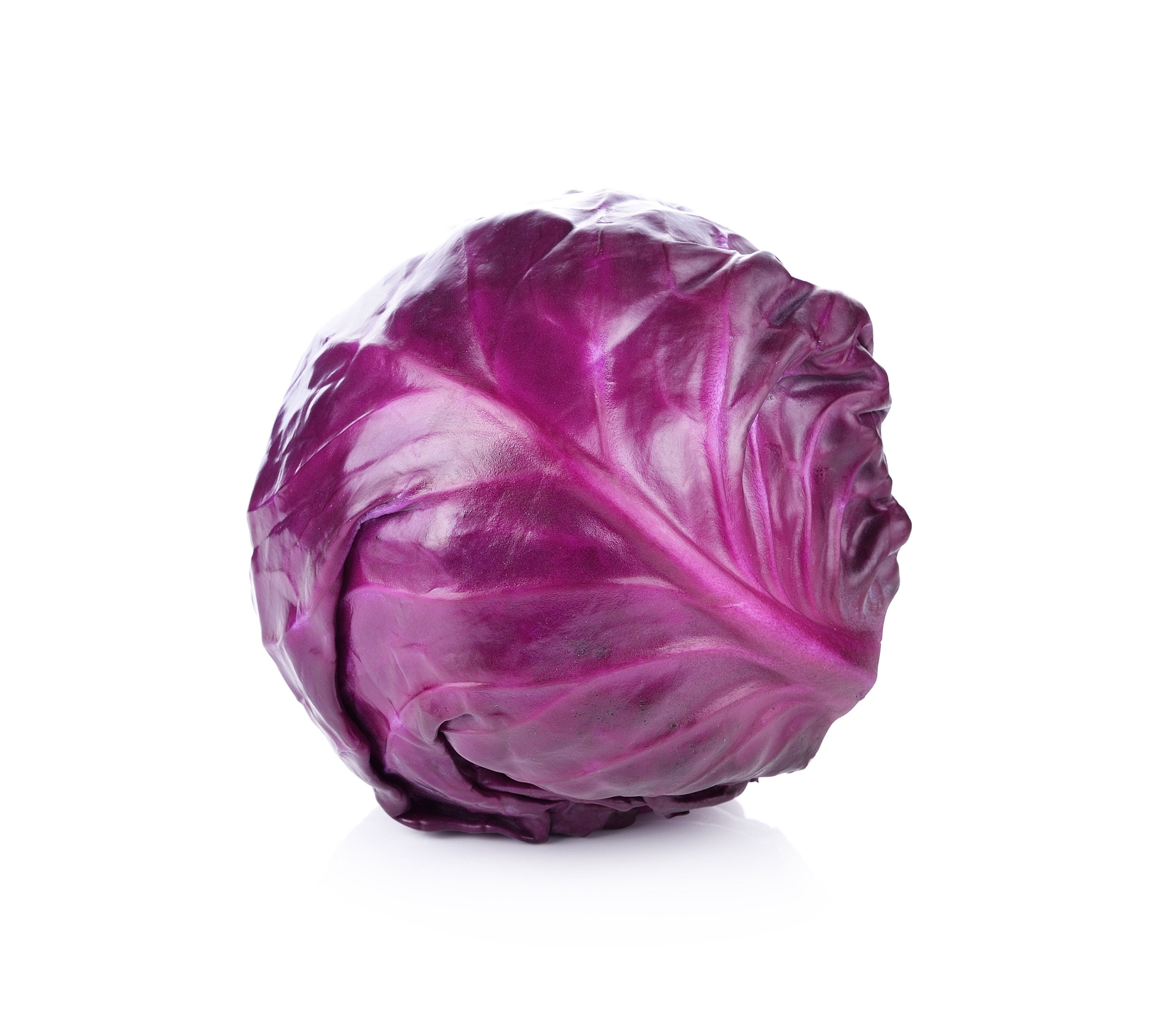 Sherwood's Seeds 30 Red Acre Cabbage Plant Seeds