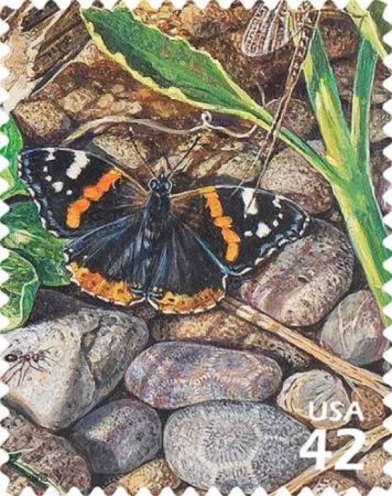 Red Admiral Butterfly Canvas Art - US POSTAL SERVICE (24 x 30)