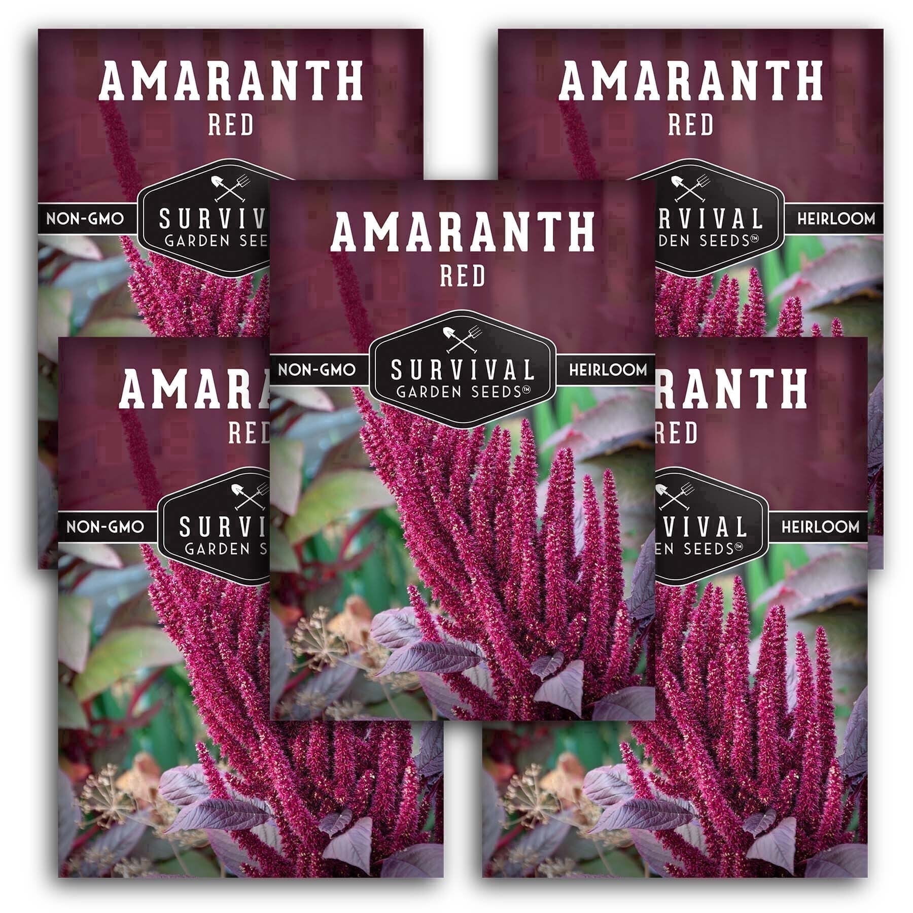 Vegetables Races Red Amaranth Seeds - Full Sun Annual Vegetable - 5 Packs - Walmart ...
