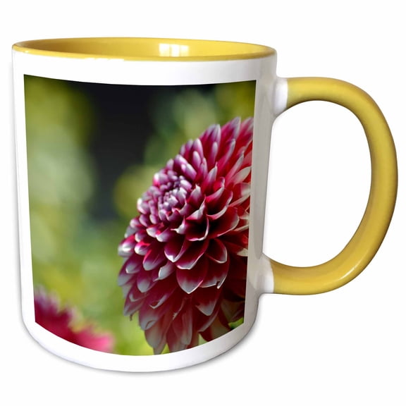 3drose, Red and White Dahlia Flower - Floral Print - Inspired Garden, 11oz Two-tone Yellow Mug