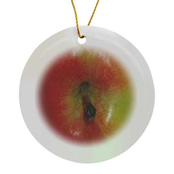 3drose, Red and Yellow Apple Stem, Circle Porcelain Ornament