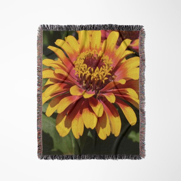 Red And Yellow Sunset Colored Zinnia Flower- Macro, Woven Blanket