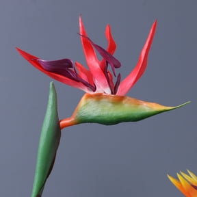 Red Artificial Bird of Paradise Flower - Real Touch PU Strelitzia Stem with Bendable Wire, Faux Tropical Plant Decor for Home, Wedding & Party